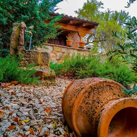Islas Galapagos Berlanga de Duero
